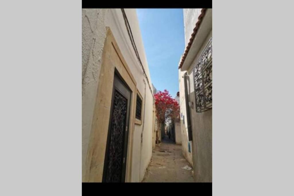 Dar El Halfaouine Lejlighed Tunis Eksteriør billede